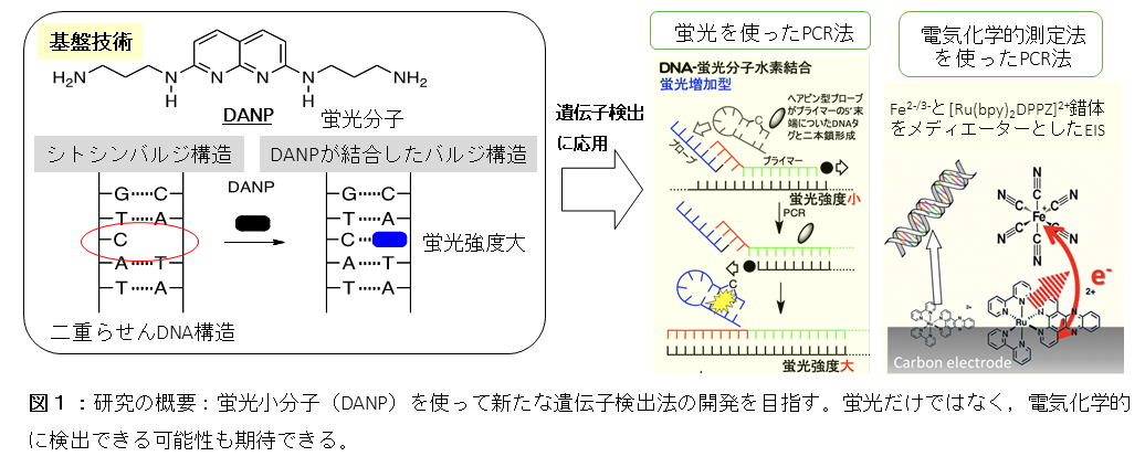 図１