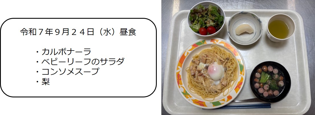 ９月２４日（昼食　カルボナーラ、ベビーリーフのサラダ、コンソメスープ、梨）