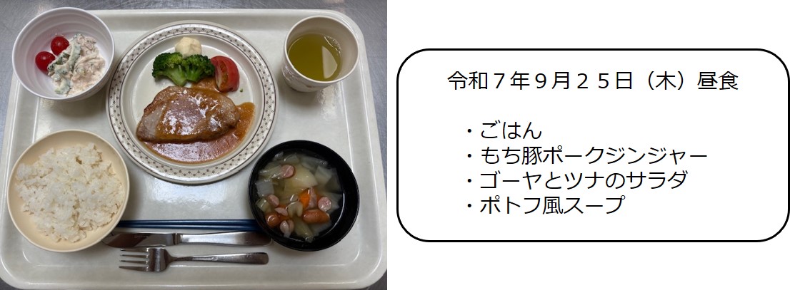 ９月２５日（昼食　ごはん、もち豚ポークジンジャー、ゴーヤとツナのサラダ、ポトフ風スープ）